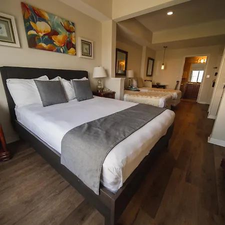 The Point Hotel & Suites - 705H Luxury - Pool View - Close To Universal